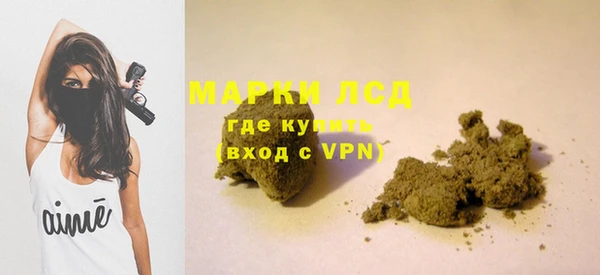 шишки Бронницы
