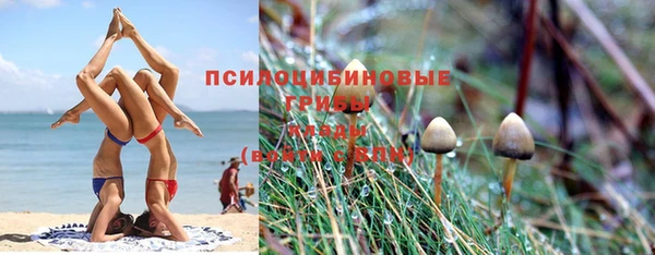 скорость Бородино